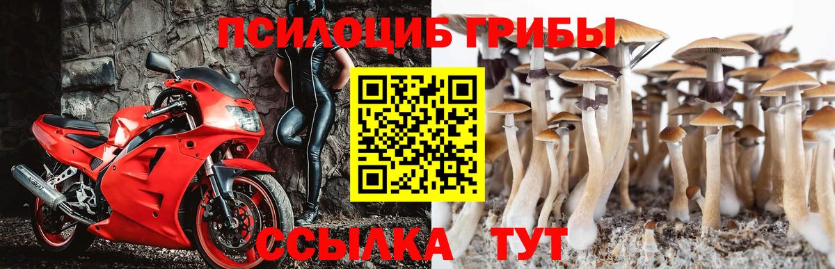 Галлюциногенные грибы Magic Shrooms  Вход с VPN  Спасск-Дальний 